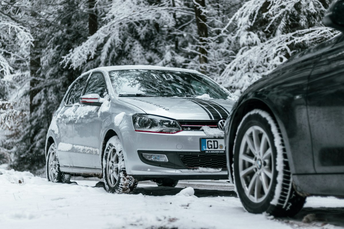 Professional winter preparation guide